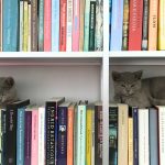 InspiratieCD 19: Vertrouwen ontwikkelen